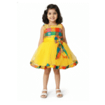 PM Girls Party Wear Frock