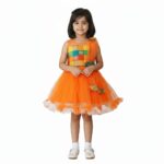 PM Girls Party Wear Frock