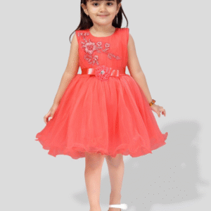 PM Girls Party Wear Frock