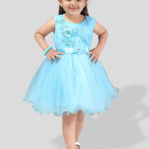 PM Girls Party Wear Frock