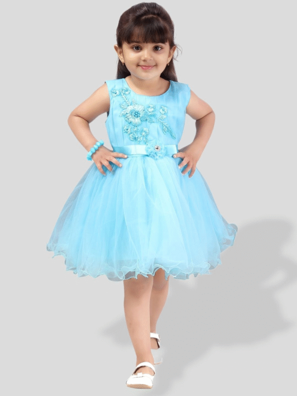 PM Girls Party Wear Frock