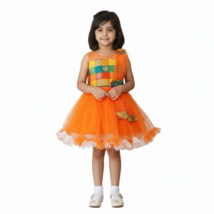 PM Girls Party Wear Frock