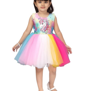 PM Girls Party Wear Frock