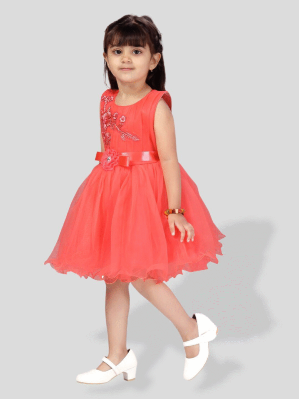 PM Girls Party Wear Frock - Image 3